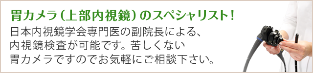 胃カメラ(上部内視鏡)のスペシャリスト!